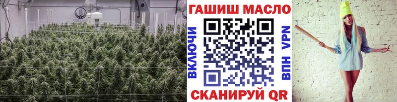 ТГК вейп shop как зайти Тында