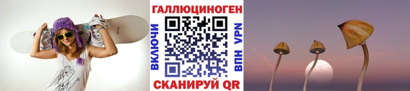 где можно купить   Тында  Галлюциногенные грибы ЛСД 