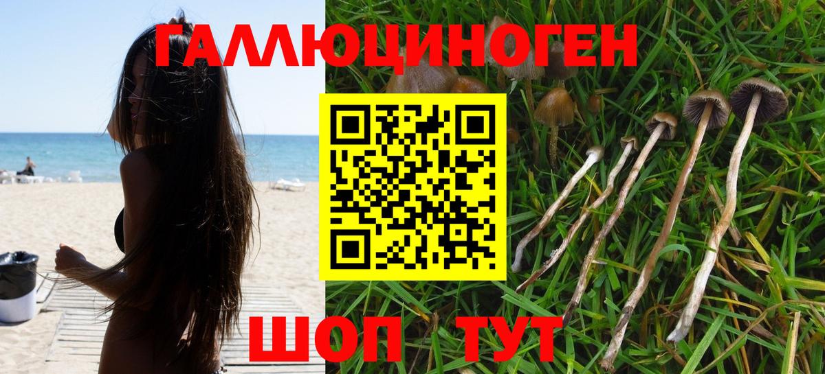 Метамфетамин  КОКАИН  МЕТАДОН  Экстази  Вход с VPN  ГАШИШ  МАРИХУАНА  Как найти закладки?  Тында  Мефедрон  