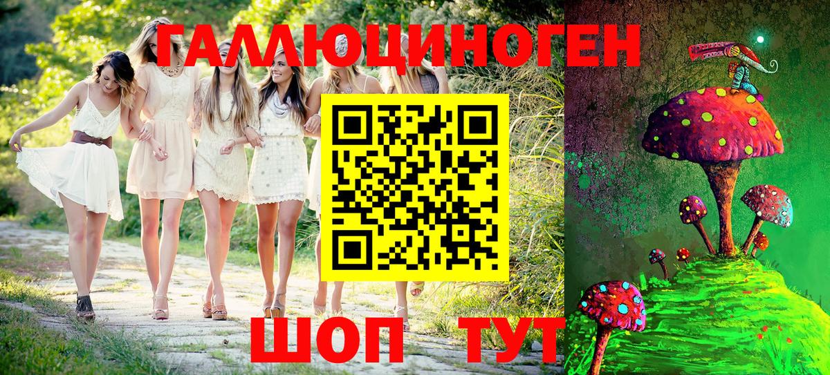 Псилоцибиновые грибы прущие грибы  Тында  Галлюциногенные грибы GOLDEN TEACHER 