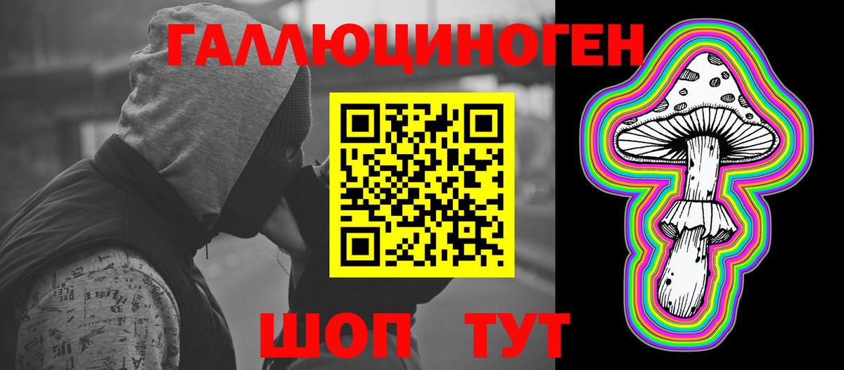 Тында  Псилоцибиновые грибы Magic Shrooms  Вход с VPN 