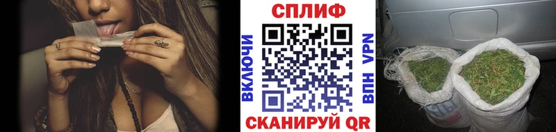 Конопля марихуана  цены   Тында 
